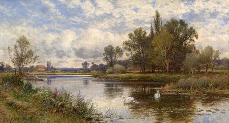 Flusslandschaft mit Schwänen
